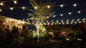Rooftop Bar and Garden
