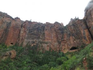 Zion-Mt. Carmel Tunnel Windows