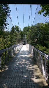 Fall Creek Pedestrian Suspension Bridge