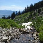 Mountain Stream on Summit Trail