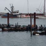 Astoria Docks