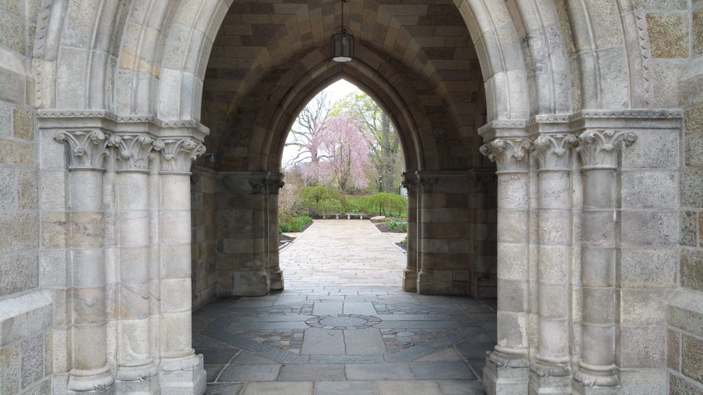 Exterior Arches 